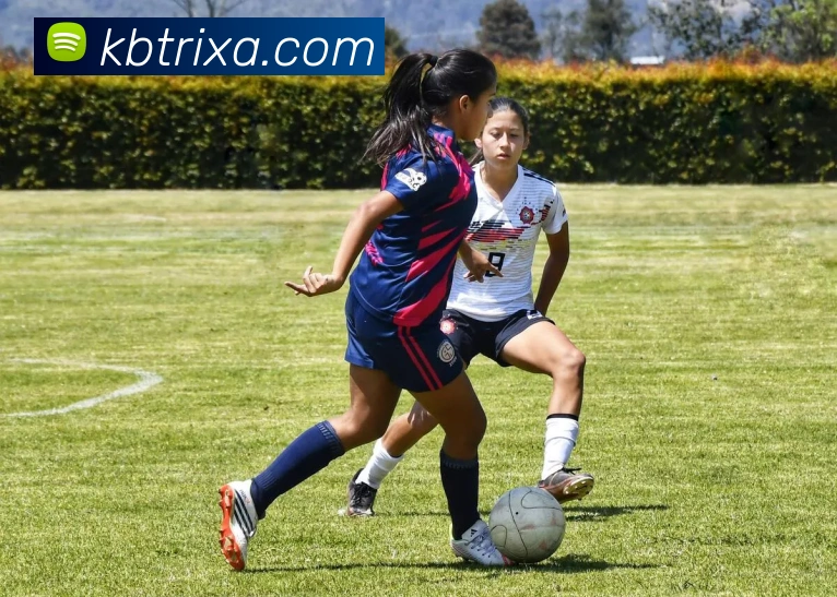 App Interface Preview